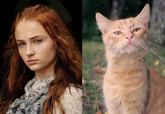 Как бы выглядели герои "Игры Престолов", будь они котами? - Новости