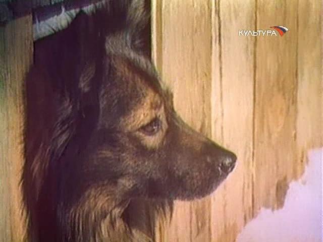 Фильм "Жизнь и приключения четырех друзей" 4 серии (1981) - Трейлеры Фильм "Жизнь и приключения четырех друзей" 4 серии (1981) - Трейлеры