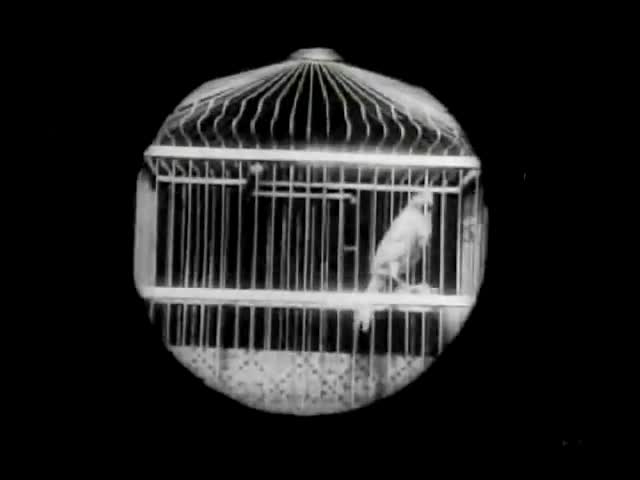 Бабушкина лупа (1900) - Трейлеры Бабушкина лупа (1900) - Трейлеры
