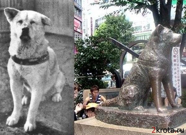 а ты сможешь посмотреть этот фильм и не заплакать. - Трейлеры