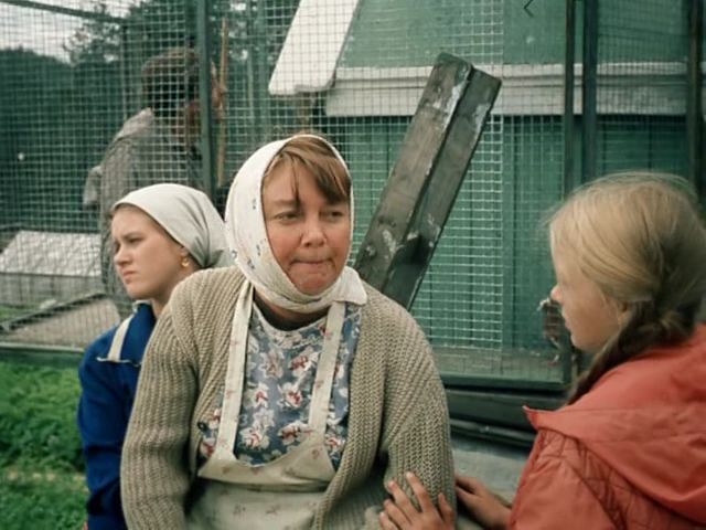 Любовь и голуби (1984) - Трейлеры Любовь и голуби (1984) - Трейлеры