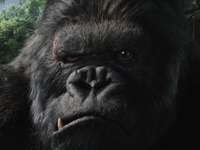 Кинг Конг жив / King Kong Lives (1986) - Трейлеры Кинг Конг жив / King Kong Lives (1986) - Трейлеры