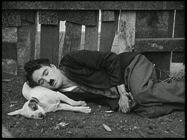 Собачья жизнь (1918) - Трейлеры Собачья жизнь (1918) - Трейлеры