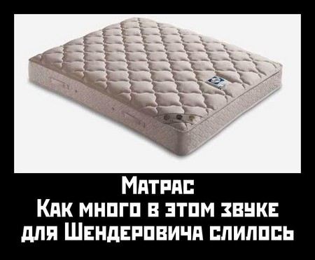 Биография Виктора Шендеровича - Режиссеры. Биография Виктора Шендеровича - Режиссеры.