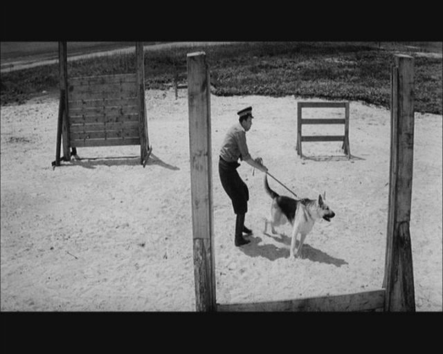 Ко мне, Мухтар! (1964) - Трейлеры Ко мне, Мухтар! (1964) - Трейлеры