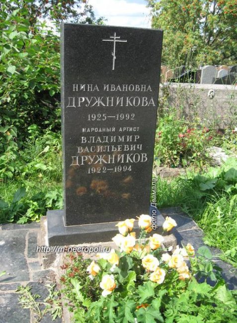 Владимир Дружников: биография, фильмография, личная жизнь, фото - Новости
