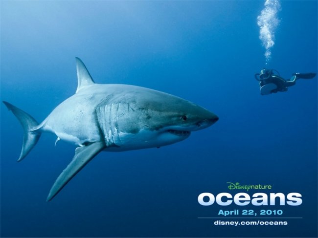 Океаны/Oceans (2009) - Трейлеры