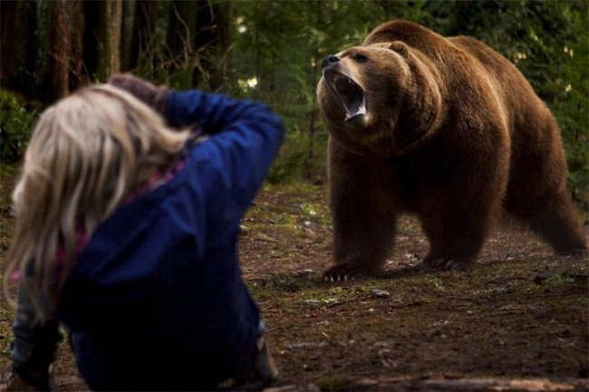 Гризли / Grizzly (2014) - Трейлеры