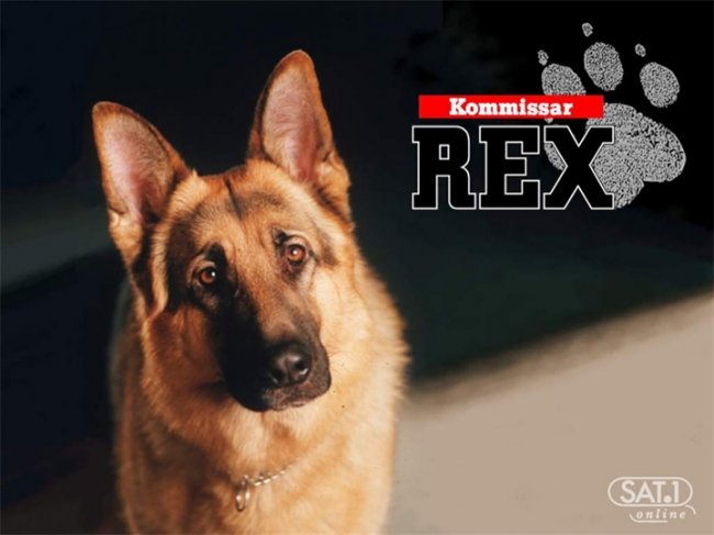 Сериал "Комиссар Рекс" - Трейлеры