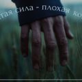 Древний лес