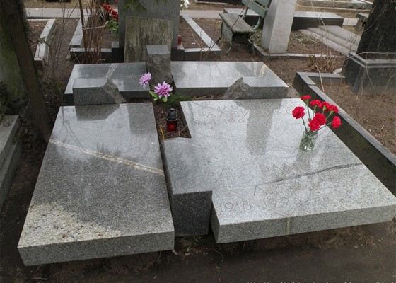 Биография Петра Алейникова - Российские актеры. Биография Петра Алейникова - Российские актеры.