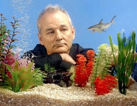 Билл Мюррей (Bill Murray) биография актера, фото, личная жизнь 2017 - Режиссеры. Билл Мюррей (Bill Murray) биография актера, фото, личная жизнь 2017 - Режиссеры.