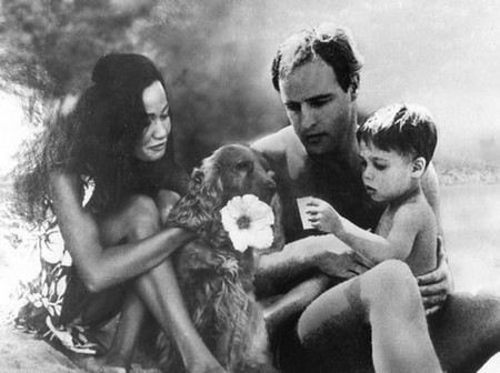 Марлон Брандо (Marlon Brando) биография актера, фото, личная жизнь - Иностранные актеры. Марлон Брандо (Marlon Brando) биография актера, фото, личная жизнь - Иностранные актеры.