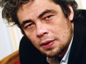 Бенисио Дель Торо избран в жюри "Особого взгляда" Каннского фестиваля