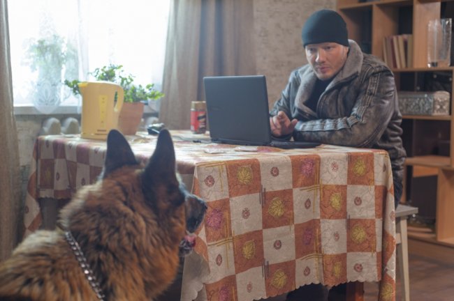 «Пёс» начинает новое расследование