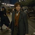 Новый трейлер и постер второй части «Фантастических тварей»